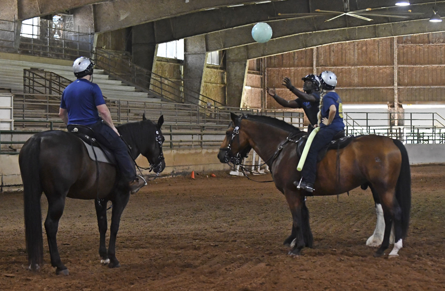 BR.brpdhorses.adv HS 028.JPG
